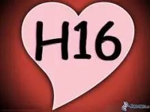 H16 - images (18).jpg